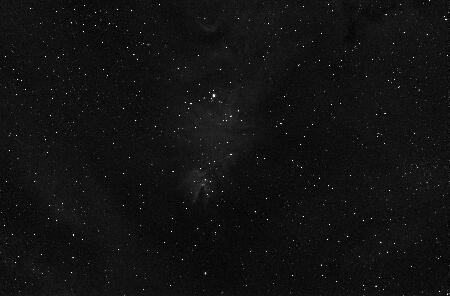 NGC2264, 2016-2-25, 17x300sec,  APO100Q, H-alpha 7nm, QHY8.jpg